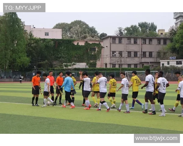 足球球星青春不再：从巅峰到暮年，足球人生的转折与挑战